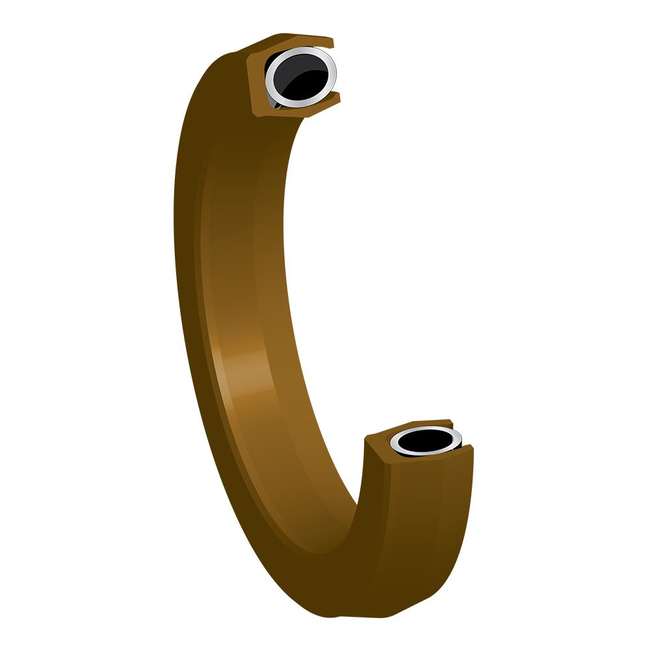 Low Radial Load FlexiSeal with Beveled Lip (FBN-C)